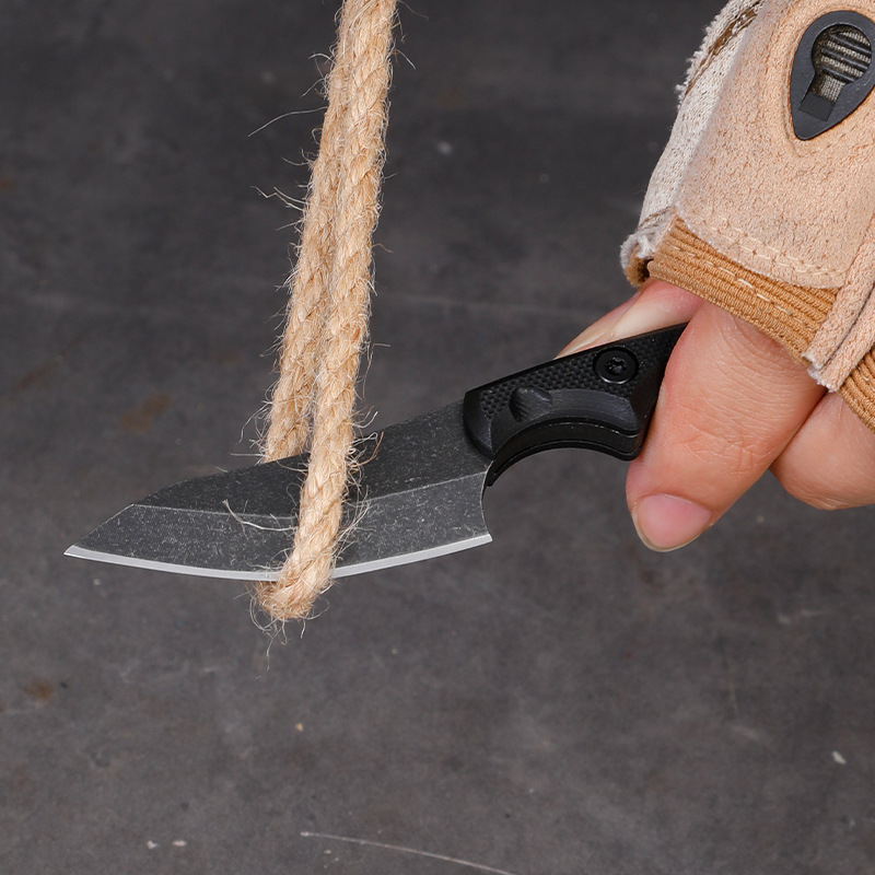 5CR15 Roestvrij Staal Kleine V - Edc Carry Fixed Blade Knife recensie en prijs