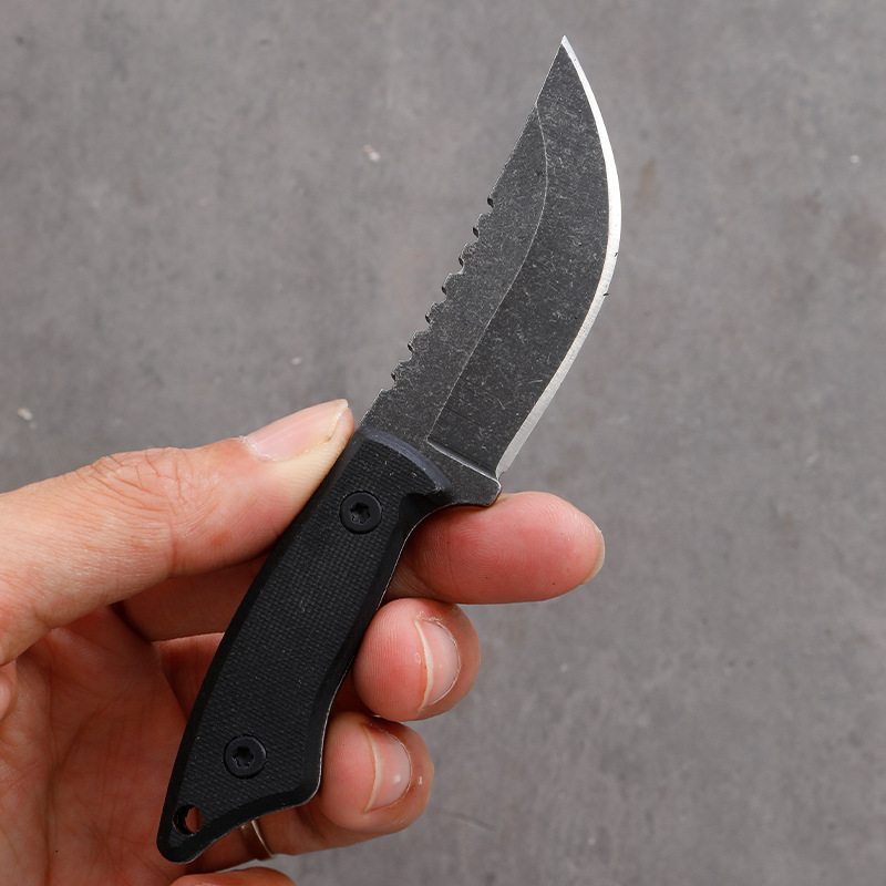 5CR15 Roestvrij Staal Kleine V - Edc Carry Fixed Blade Knife recensie en prijs