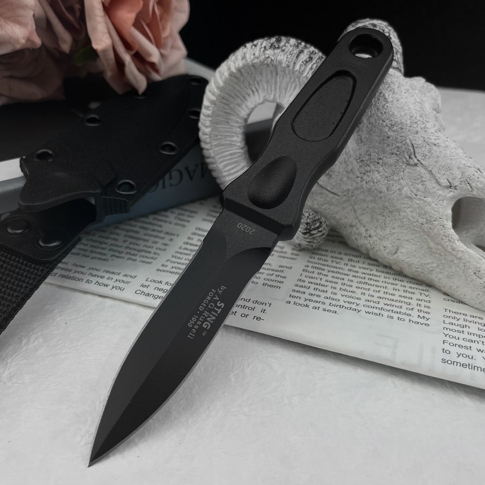 Multifunctioneel vaststaand me - Edc Carry Fixed Blade Knife recensie en prijs